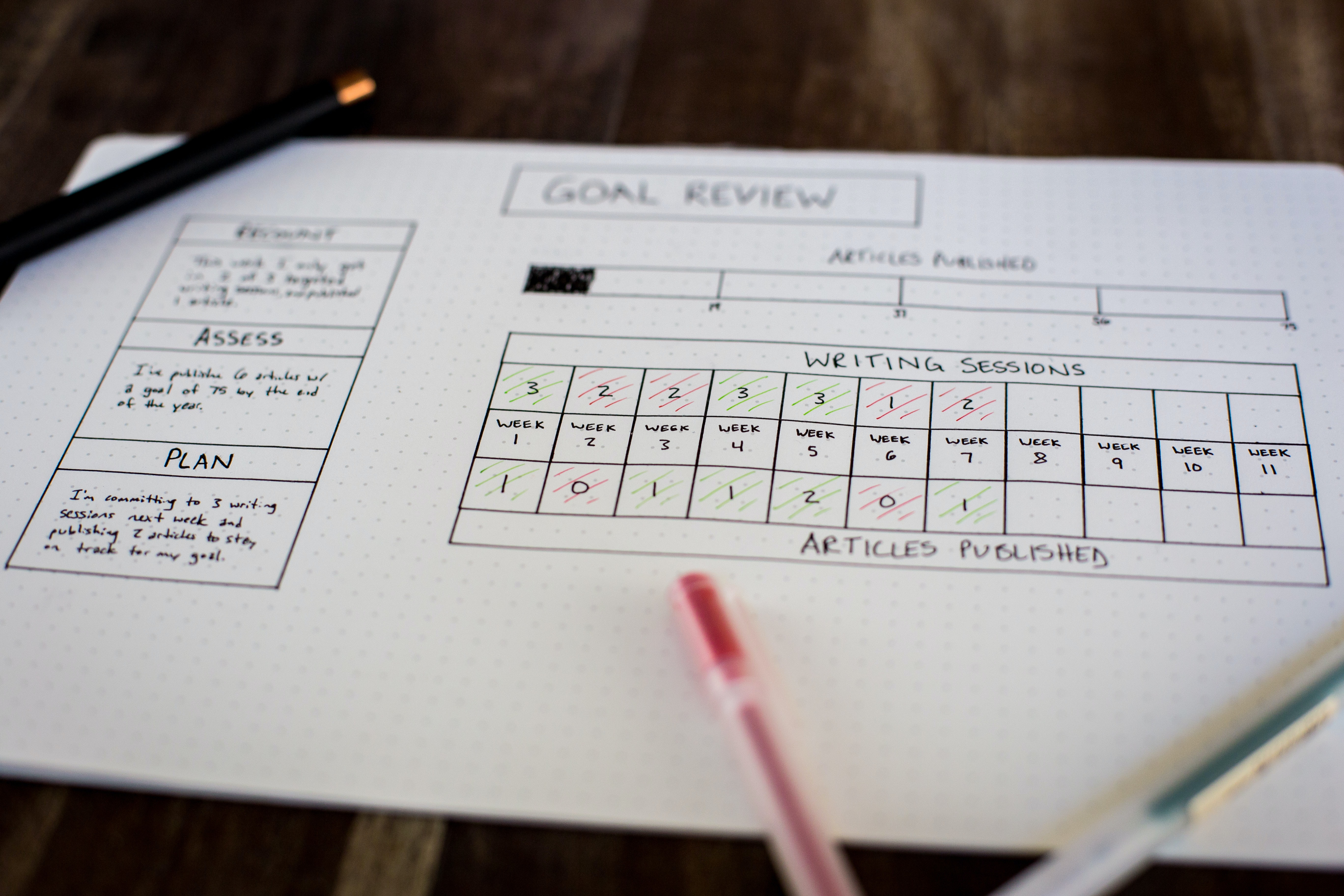 goal review notes - Josei Life