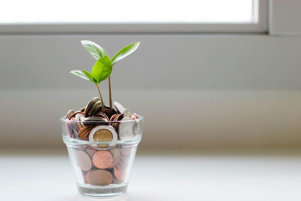 5 Essential Business Skills For Solopreneurs In 2025 - josei life - Financial Literacy & Cash Flow Management